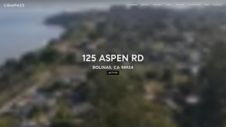 website thumbnail