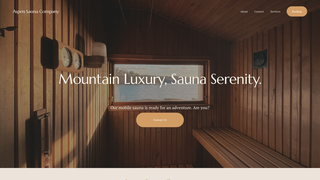 Thumbnail of aspensaunacompany.com