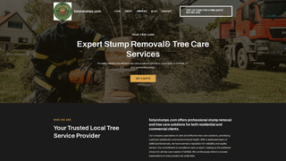 Thumbnail of 5starstumps.com