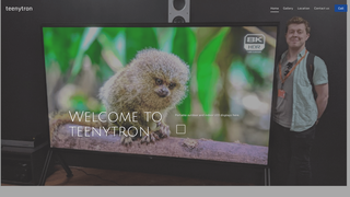 Thumbnail of teenytron.com