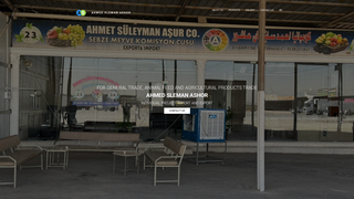 Thumbnail of ahmedslemanashour.com