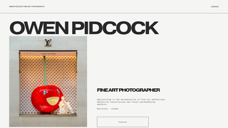 Thumbnail of owenpidcockphotography.com