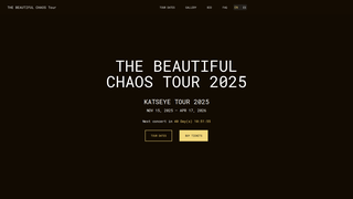 Thumbnail of thebeautifulchaostour.com