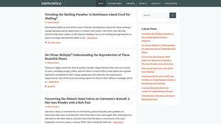 Thumbnail of infotechfirst.com