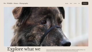Thumbnail of pawfulwanderlust.com