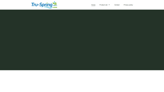 Thumbnail of tru-spring.com