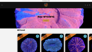 Thumbnail of colorfulcoralsstore.com