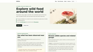 Site preview