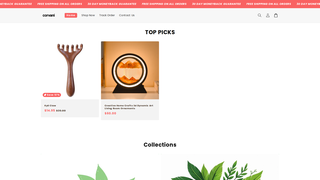 Thumbnail of shopcorvani.com