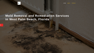 Thumbnail of moldwestpalmbeach.com