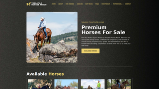 Thumbnail of ultimatehorses.com