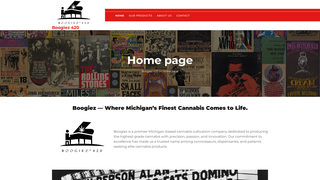 Thumbnail of boogiez420.com
