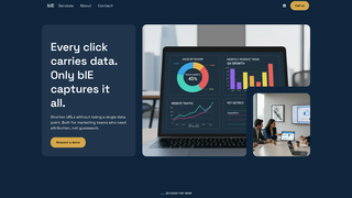Screenshot of bleurl.com