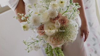Thumbnail of poppyandstem.com