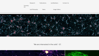 Thumbnail of tymanskyjlab.com