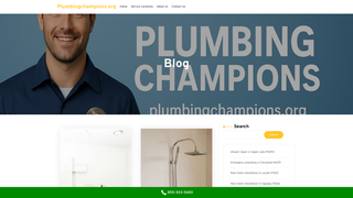 Thumbnail of plumbingchampions.org