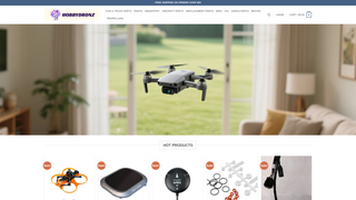 Thumbnail of hobbydronz.com