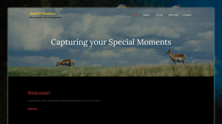 Thumbnail of joecostudios.org