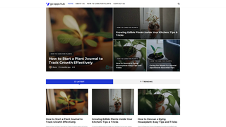 Thumbnail of goappshub.com