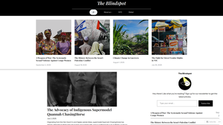 Thumbnail of theblindspotnyc.com
