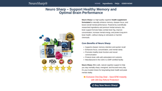 Thumbnail of web-neurosharp.com