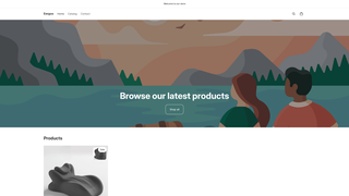 Thumbnail of eergoo.com