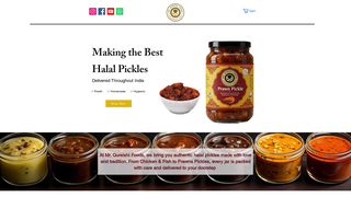 Thumbnail of mrqureshifoods.com