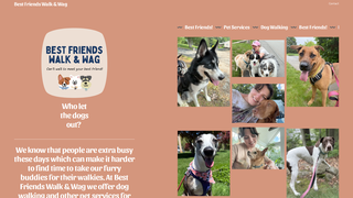 Thumbnail of bestfriendswalkandwag.com