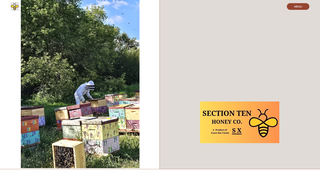 Thumbnail of section10honey.com