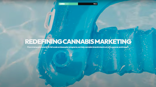 Thumbnail of cannababeusa.com