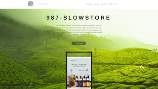 Thumbnail of 987slowstore.com