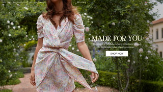 Thumbnail of bellunea.com