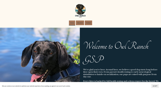 Thumbnail of owlranchgsp.com