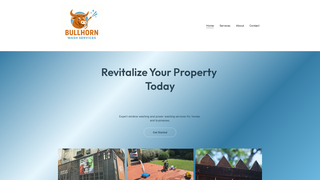 Thumbnail of bullhornwashservices.com
