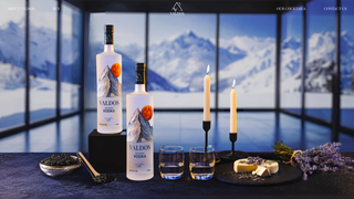 Thumbnail of valdosvodka.com