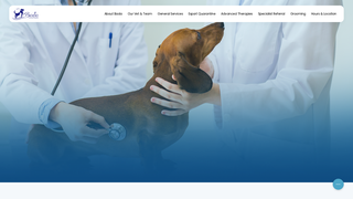 Screenshot of seoulvet.com