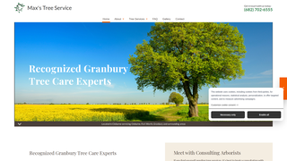 Thumbnail of maxstreeservice.com