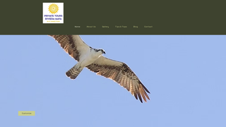 Thumbnail of privatetoursrivieramaya.com