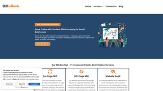 Thumbnail of seoinboots.com