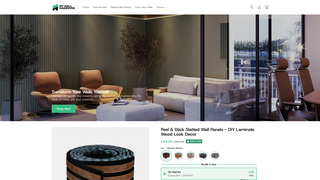 Thumbnail of mywallmakeover.com