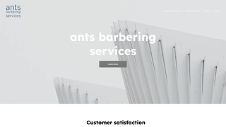 Thumbnail of antsbarberingservices.com