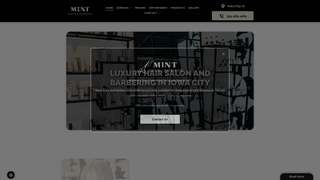 Thumbnail of mintsalonic.net