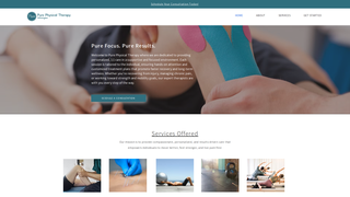 Thumbnail of purept-nc.com