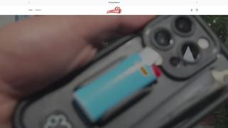Thumbnail of rollandspark.com