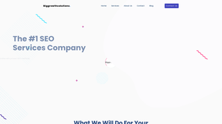 Thumbnail of biggrowthsolutions.com