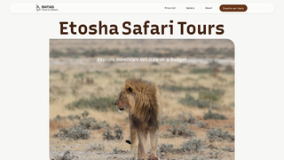 Thumbnail of matiastoursandsafaris.com