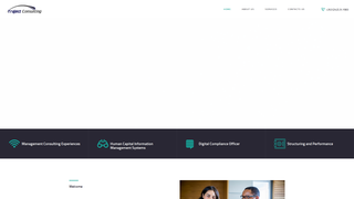 Thumbnail of trajectconsulting.org