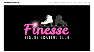 Thumbnail of skatewithfinesse.com