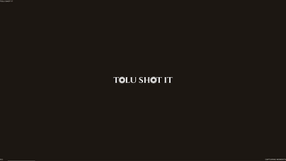 Screenshot of tolushotit.com