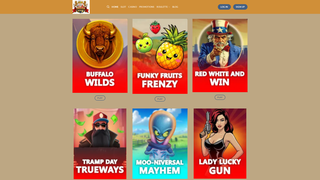 Thumbnail of indian-rummy-indian-rummy.org